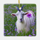 Recherche de chèvre de ornements Mignon