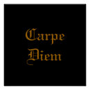 Recherche de latin posters Typographie