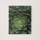 Recherche de vue en gros plan puzzles Croissance