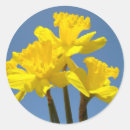 Recherche de fleurit la nature cadeau emballages Coloré