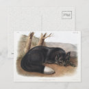 Recherche de illustration renard cartes postales Bois