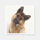 Recherche de portrait serviettes Chien
