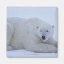 Recherche de jour du canada magnets Mignon