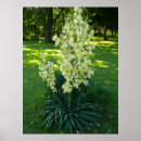 Recherche de multi région posters Jardin