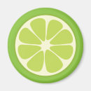 Recherche de vert de chaux magnets Cuisine