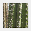 Recherche de épiceries magnets Photographie
