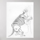 Recherche de squelette de dinosaure posters Histoire