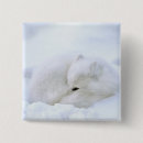 Recherche de churchill badges Manitoba