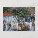 Recherche de glace cartes postales Bois