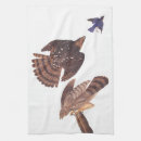 Recherche de rapace cuisine linges Faucon