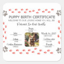 Recherche de pattes de chien autocollants Dogs