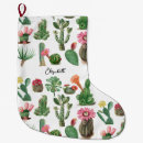Recherche de plantes chaussette de noël Désert