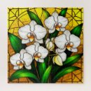 Recherche de orchidée blanche puzzles Orchidées