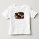 Recherche de kyoto tshirts Rob tilley