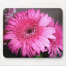 Recherche de gerber tapis souris Marguerite rose