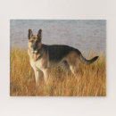Recherche de berger puzzles Eau