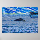 Recherche de grande baleine posters Océan