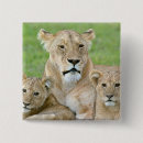 Recherche de afrique badges Nature