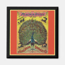 Recherche de publicité magnets Noir