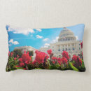 Recherche de aucunes personnes coussins Dc de washington