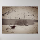 Recherche de neige posters Dog