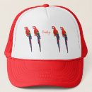 Recherche de perroquets casquettes Oiseau