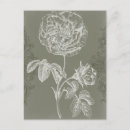 Recherche de soulagement Floral
