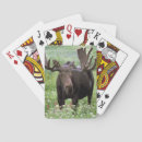 Recherche de alpin jeux de cartes Bois