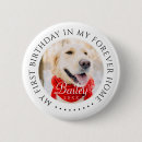 Recherche de anis badges Animal