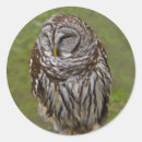 Recherche de poulailler autocollants Animaux