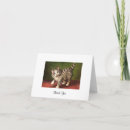 Recherche de chatons vintages vœux cartes Mignon