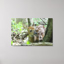 Recherche de faon et l art Animal