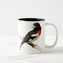 Recherche de bec tasses Nature