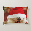 Recherche de bichon décoration coussins Animal