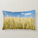 Recherche de image de couleur coussins Croissance