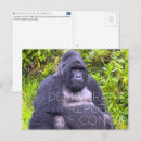 Recherche de congé cartes postales Faune