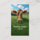 Recherche de boeufs cartes visite Agriculteur