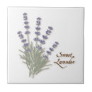 Recherche de lavender carreaux Herbe