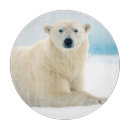 Recherche de ours planches à découper Arctique