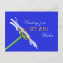 Recherche de fleur de marguerite cartes postales Fleurs