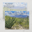 Recherche de pipe cartes postales Arizona