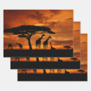 Recherche de safari africain papier cadeau Girafe