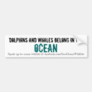 Recherche de dauphins voiture autocollants Baleines