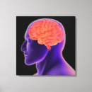 Recherche de anatomie cerveau posters toiles Médecine