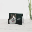 Recherche de minou mignon vœux cartes Félin