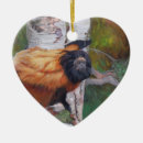 Recherche de forêt tropicale ornements Singe