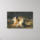 Recherche de sud africain art Faune