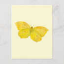 Recherche de entomologie cartes postales Ailes