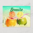 Recherche de coconut cartes postales Vacances