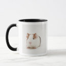 Recherche de tir de studio tasses Mignon